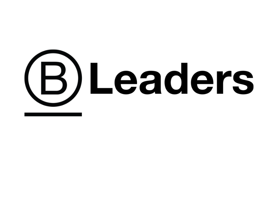 TEAM BLYDE IS VANAF NU B LEADER | LET US GUIDE YOU